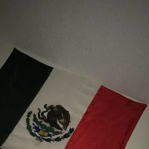 Meet your Posher, Luis